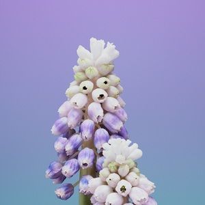 Meet your Posher, Nina